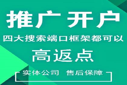 SEM托管公司案例分析：数据驱动决策